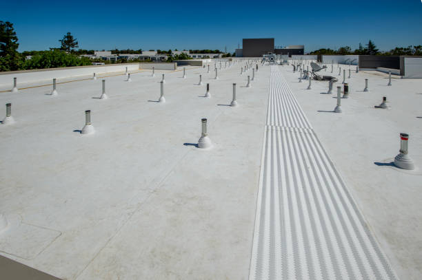 Best Metal Roofing Installation  in Mustang Ridge, TX